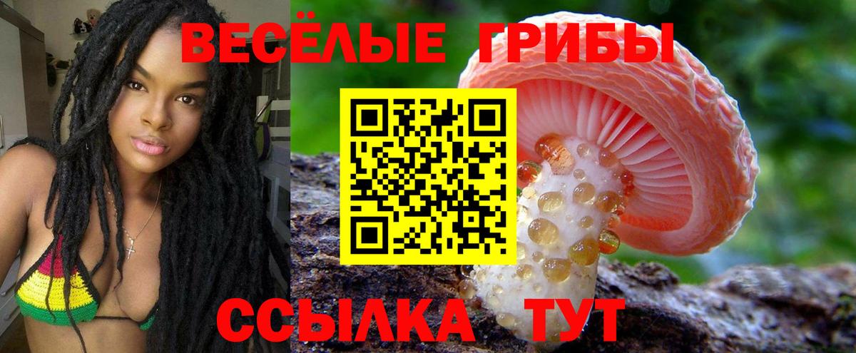 Гуково  наркота  Псилоцибиновые грибы мицелий  Вход с VPN  Галлюциногенные грибы Magic Shrooms 